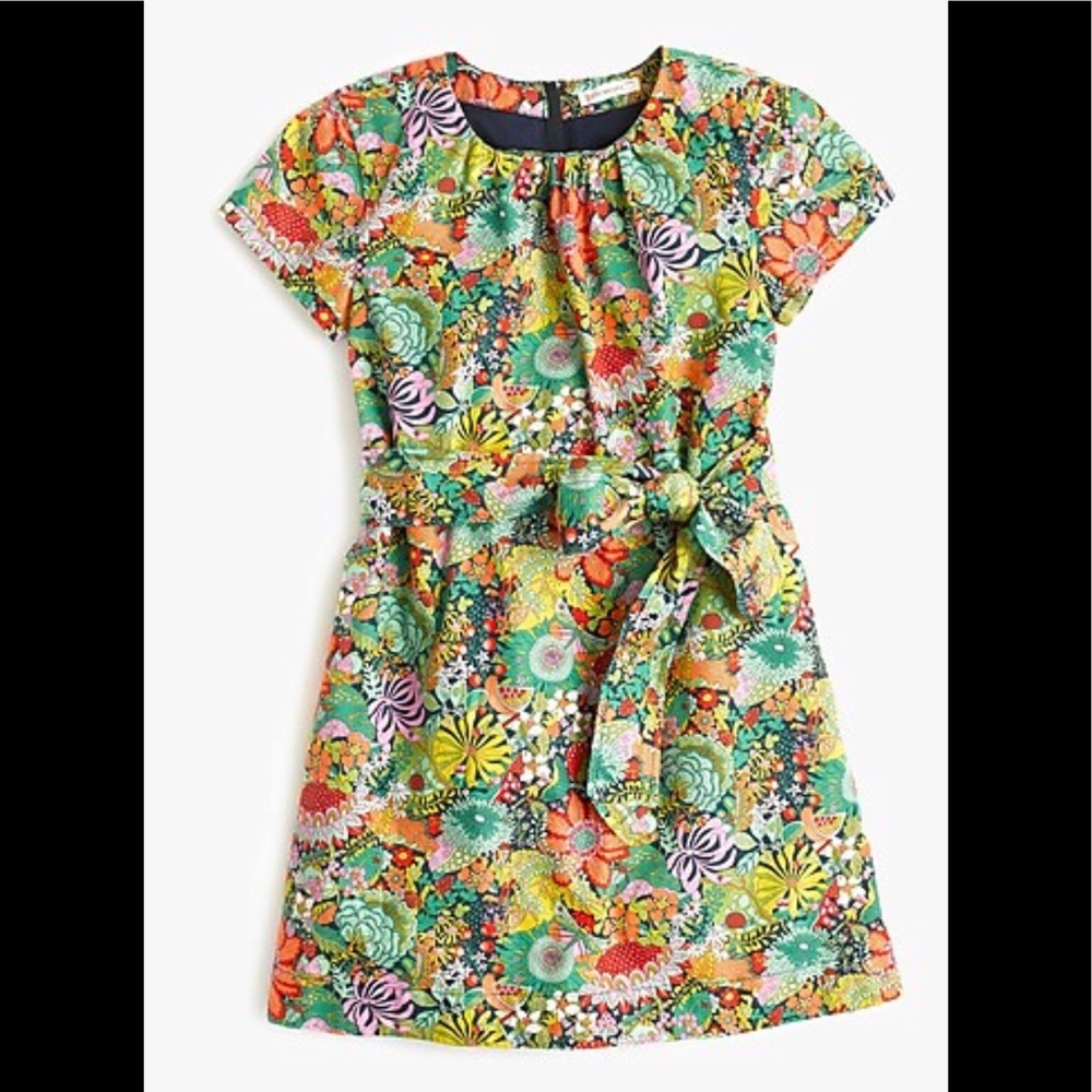 Crewcuts Liberty Art Fabrics Eloise Bea Dress